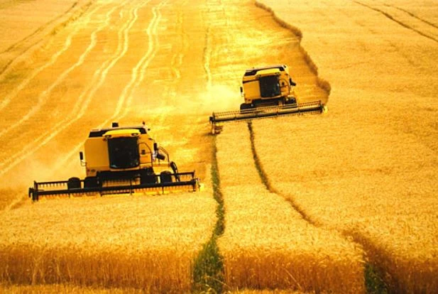 Valor da produção do agro no Nordeste passa de R$ 100 bi