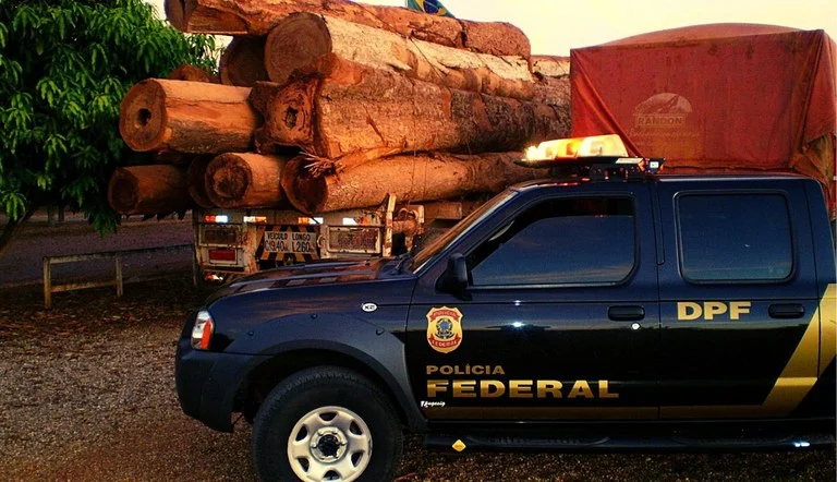 PF treina policiais estrangeiros para identificar madeira da Amazônia