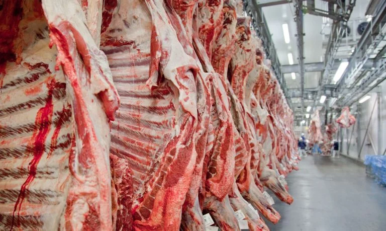 Canadá abre para exportações de carnes brasileiras