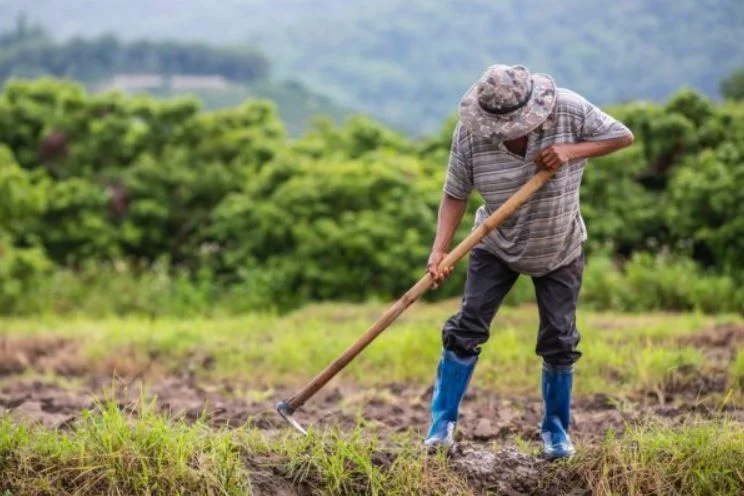 Contratação de crédito rural cresce 30% em oito meses de safra