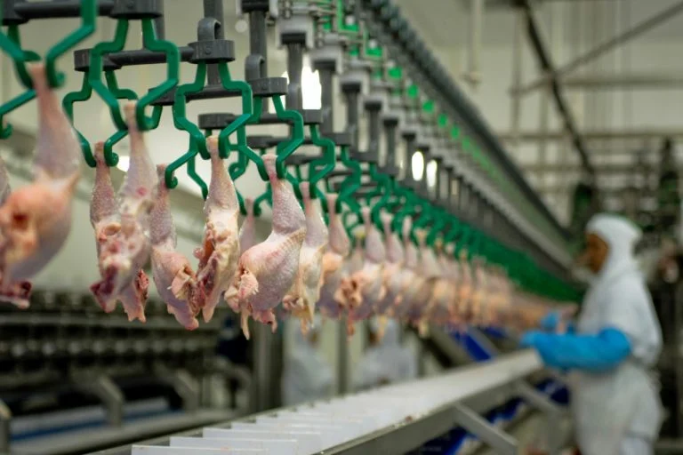 Exportações de carne de frango crescem em fevereiro