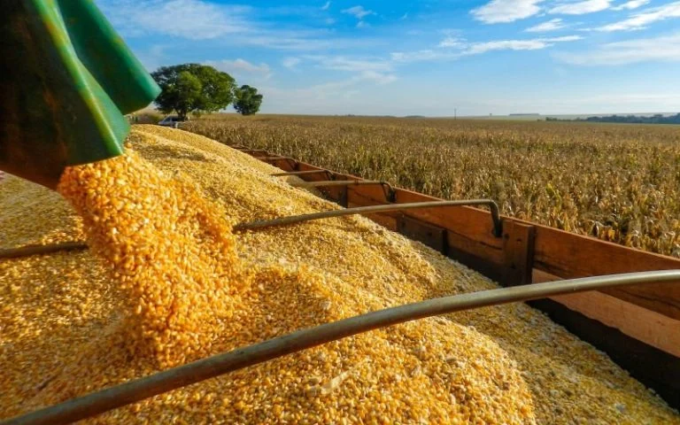 Produção agrícola deve atingir quase 270 milhões de toneladas