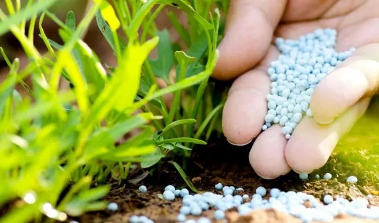 Grupo israelense planeja fabricar fertilizantes especiais no Brasil